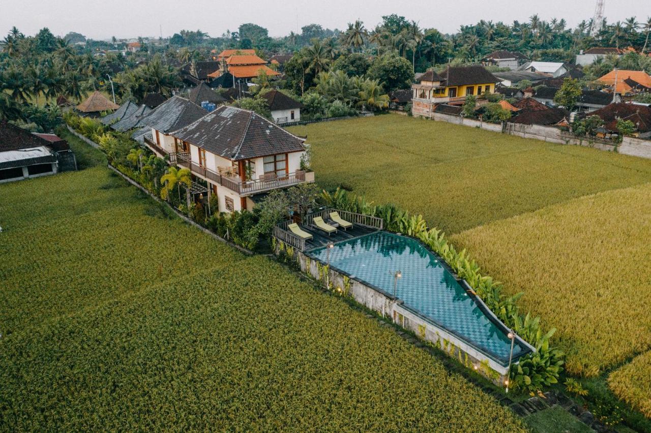 Maha Shanti Ubud Villa Brand New 4 Bedrooms Wooden Villa Exteriör bild